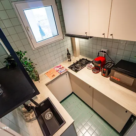 Cozy Living Roof 81 *